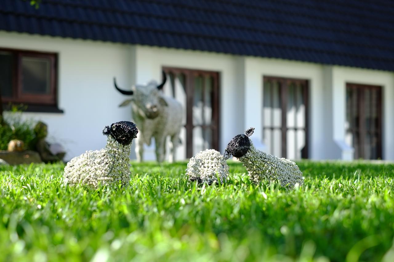 Kilmorna Manor Guest House Shoemanskloof المظهر الخارجي الصورة